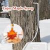 Practical-New 304 Stainless Steel Maple Faucet Tip Maple Syrup Tapping Kit Maple Syrup Synthetic Filter Trunk Faucet