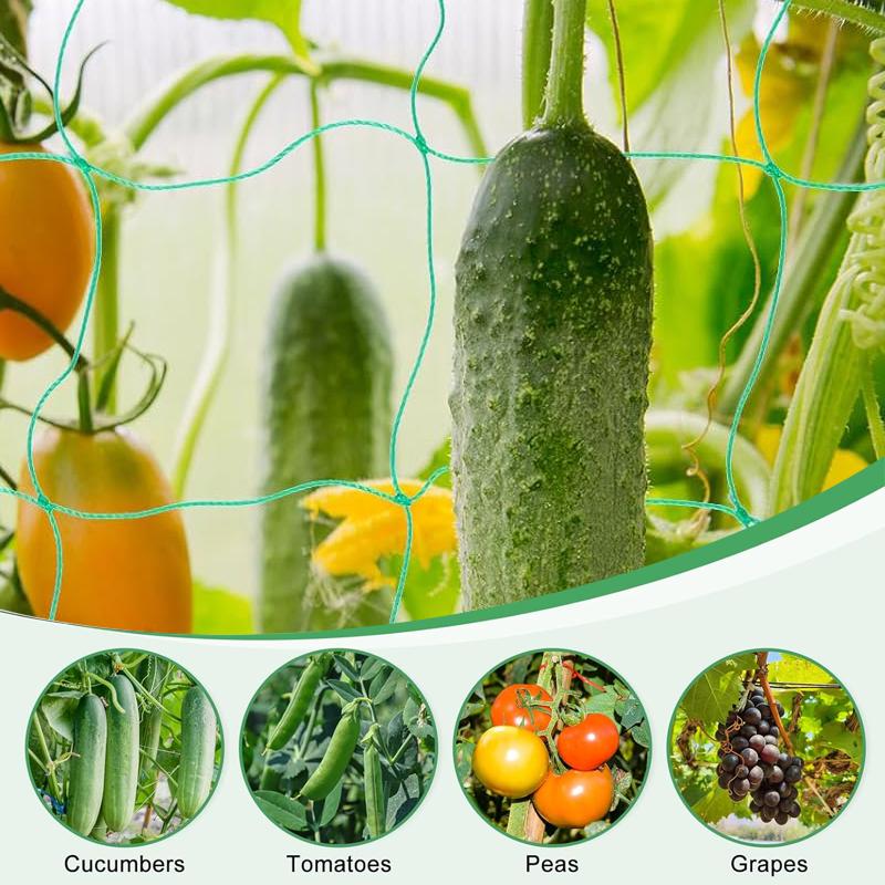18 shares Plant trellisesLattice plant climbing nets for climbing plantsSuitable for cucumbers tomatoes grapes garden accessories