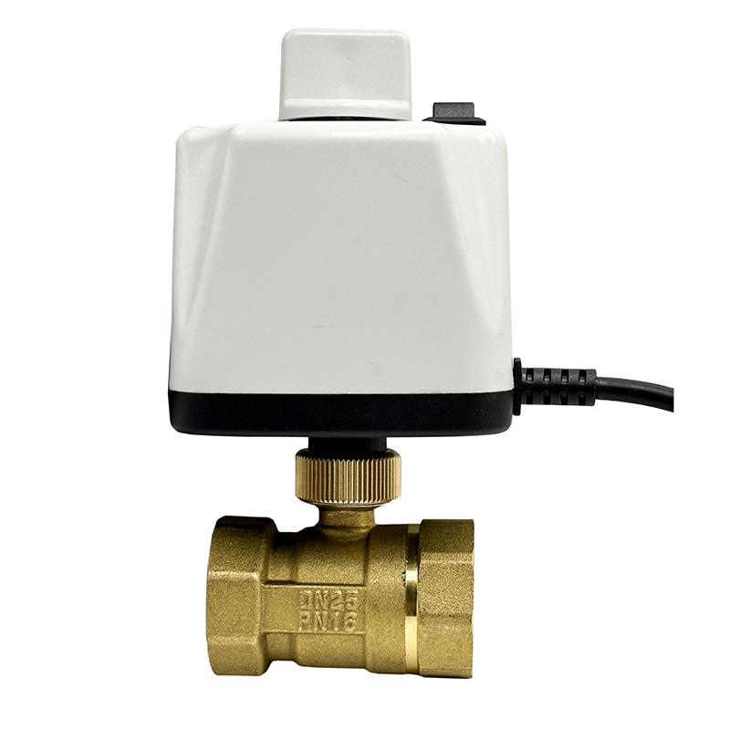 1/2" 3/4" 1" 2" Motorized Ball Valve With Manual Switch Brass 2-Wire DN15 DN20 DN25 DN50 Electric Ball Valve 220V 110V 24V 12V