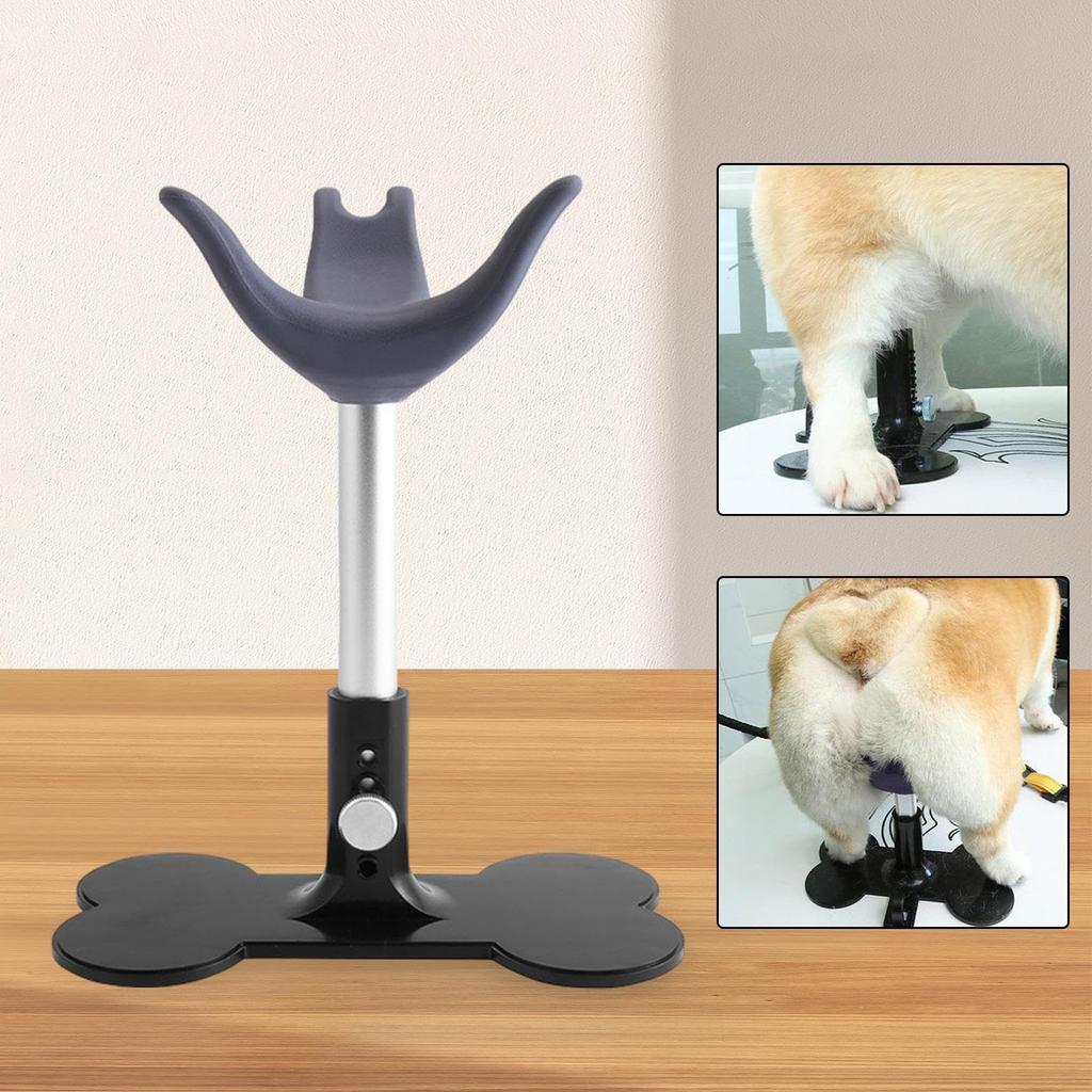 Fixed Dog Auxiliary Standing Fixed Dog Pet Haircut Pet Grooming for Small Gray Seat, Seat, Gift, Stool, Chair, Dogs,
