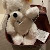 [USED] Steiff Teddy Bear Bag Box White