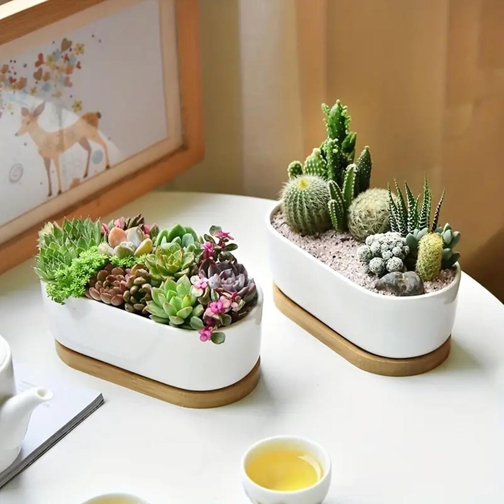 Facecolor Oval Cactus Set of Flower Succulent Ceramic Succulent Mini Ceramic Cactus Planter Small Planter Pots for Mini Plants with Drain Holes and