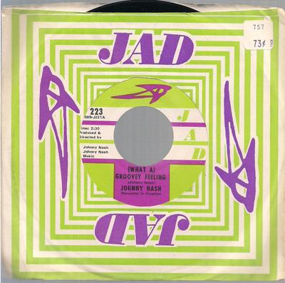 7-Zoll Schallplatte JOHNNY NASH - (Was für ein) Groovey Feeling / You Got  J223 JAD 1970 US Soul/Funk Gebraucht