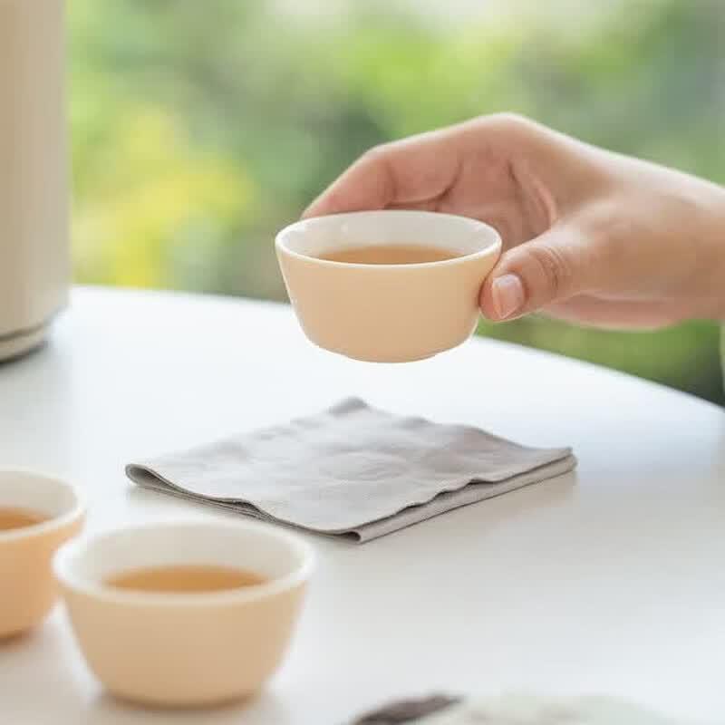 Mr. Nanshan Portable Ceramic Travel Tea Set