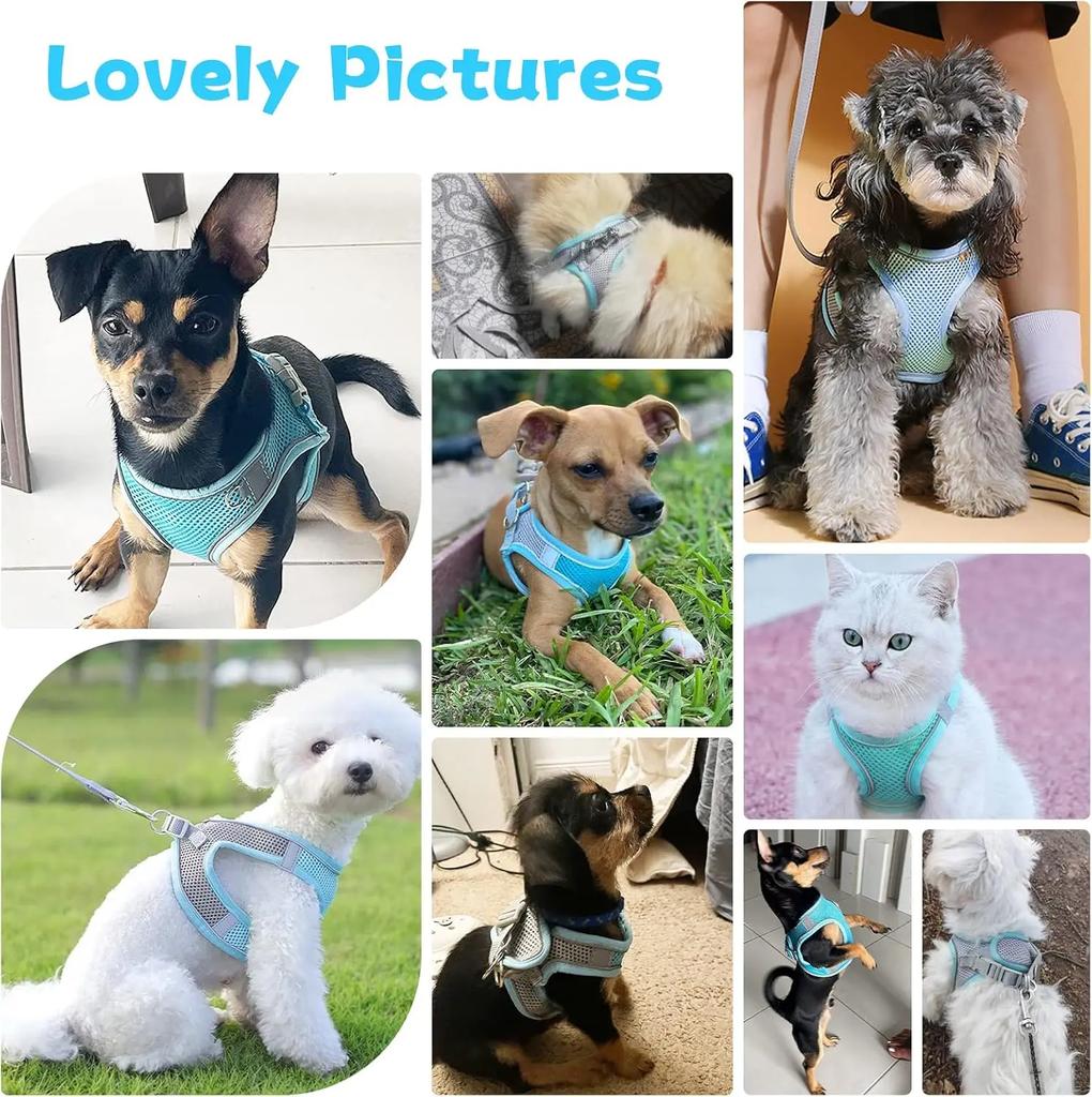 Dog Harness Leash Set for Small Dogs Adjustable Puppy Cat Harness Vest French Bulldog Chihuahua Pug Outdoor Walking Lead Leash