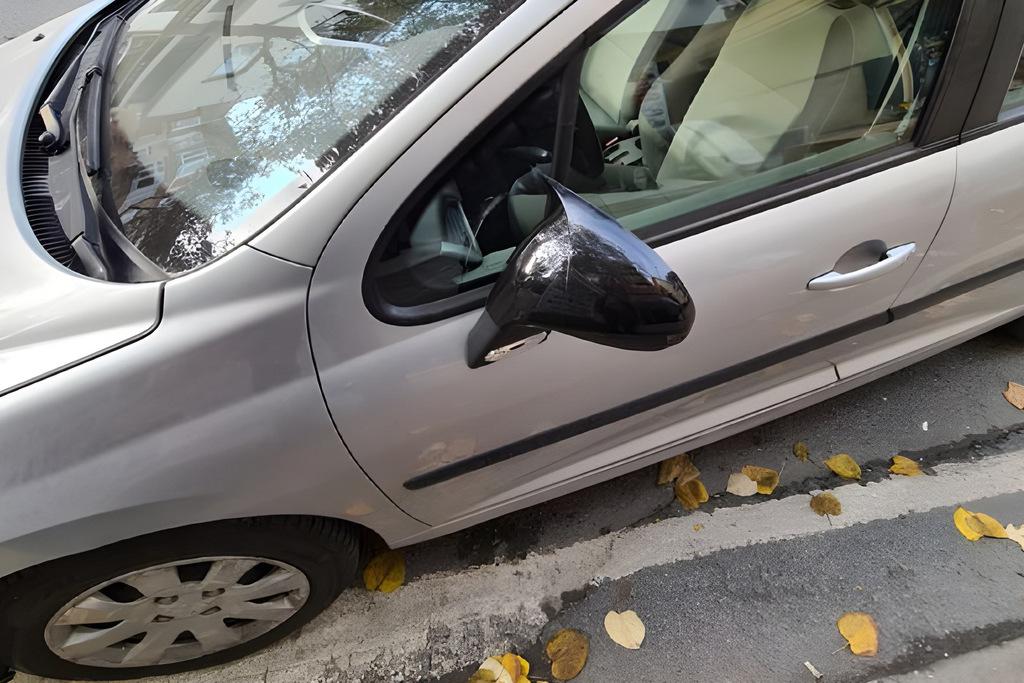 

Накладки на зеркала BMW-Style (2 шт) для Peugeot 207