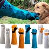 Gants anti-morsure pour chinchilla 1 paire Protection longue des bras pour la manipulation d'animaux Gant épais résistant aux morsures de lézard pour chats chiens oiseaux reptiles