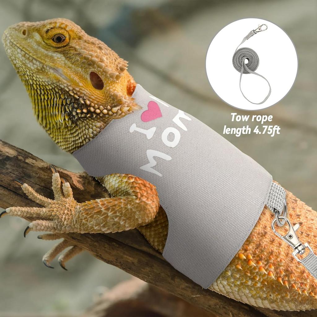 2 Pack Bearded Dragon Harness and Leash Set, Escape Proof Adjustable Lizard Reptiles Harness Cute Lizard Reptile Small Animal Harness Clothes with