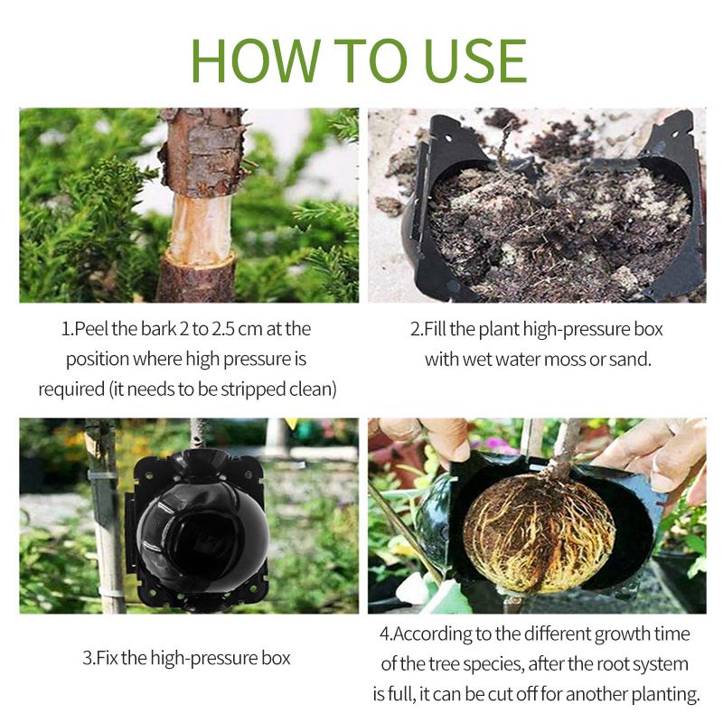 5PCS Plant Rooting Box Grafting Grow Balls High-pressure Propagation  Balls Reusable Plant Rooting Box Garden Graft Supplies