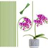 Pack Of 20 Flexible Orchid Stakes For Indoor And Outdoor Plants Support Made Of Green Plastic And Metal