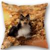 New Custom Dog Sheltie Pillowcase Cotton Linen Fabric Square Zipper Pillowcase 45X45cm Wedding Decorative Pillow Cover