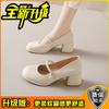 Summer women's shoes new Mary Jane shoes high heels versatile cheongsam light mouth single shoes