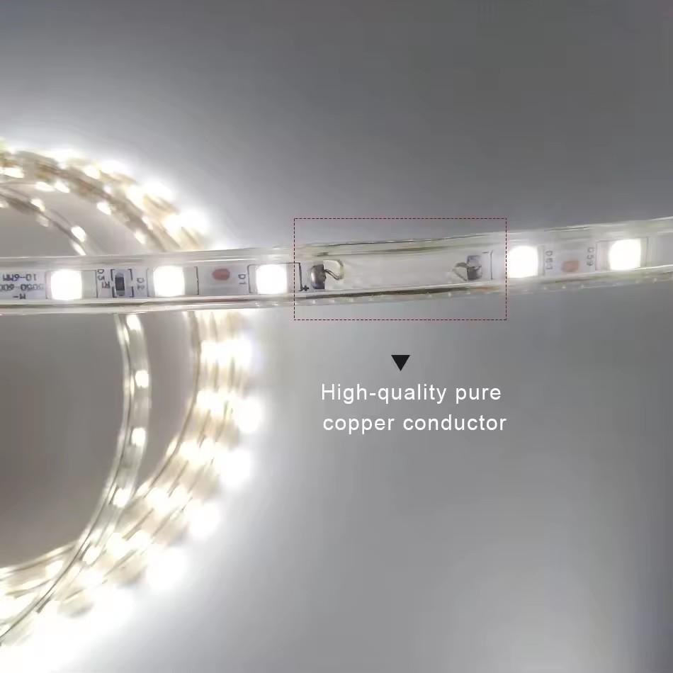Ac 220V 5050 Led Strip Light Waterproof 60 Leds Flexible Tape Lamp With Eu Plug Lighting White 1M 2M 5M 10M 20M Outdoor Ribbon
