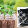 Plastic Plant Shoots Kit Plastic Plant Shoots Kit Shoots Tray