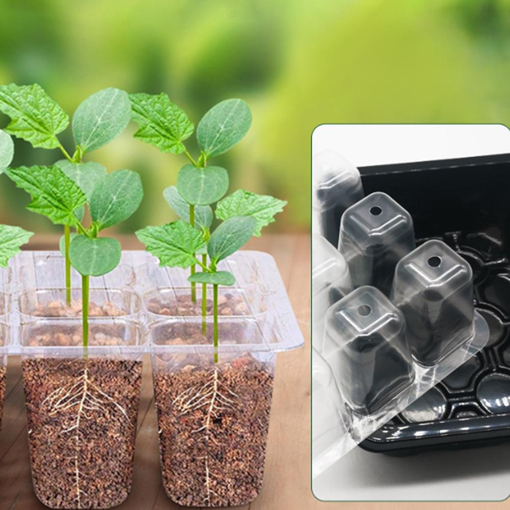 Plastic Plant Shoots Kit Plastic Plant Shoots Kit Shoots Tray