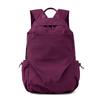 Schoolbag1011 New Large Capacity Couple Backpack Hiking Backpack Lightweight Nylon Trend Bag