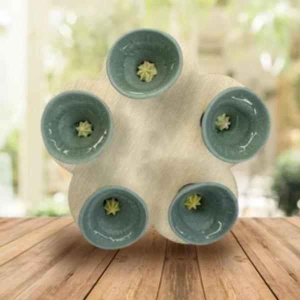 

1 шт. красочная чашка для питья пчелиных насекомых, чашка для питья пчелиных насекомых, чашки для пчел, жаждущим опылителям нужен напиток, пчелам нужны безопасные места для питья