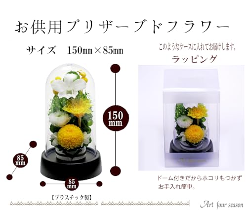 Art for Seasons Mini Mum Mini Dome Yellow Preserved Flowers