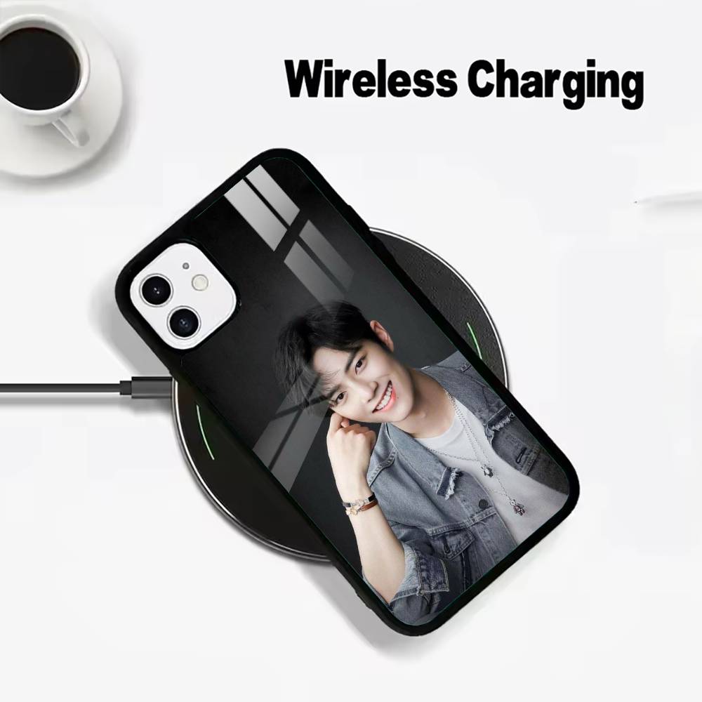 

X-Z-Xiao- Zhan Wireless charging phone case compatible with iPhone 17/16/15/14/13/12/11 iPhone17
