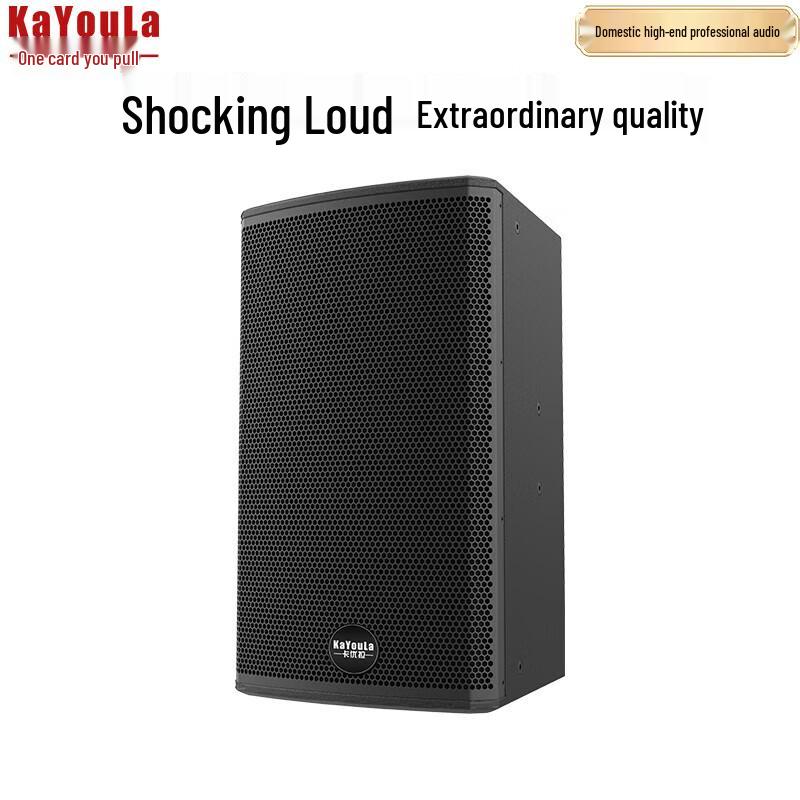 KaYouLa Professional Full-Range Conference Speaker (CN Version)