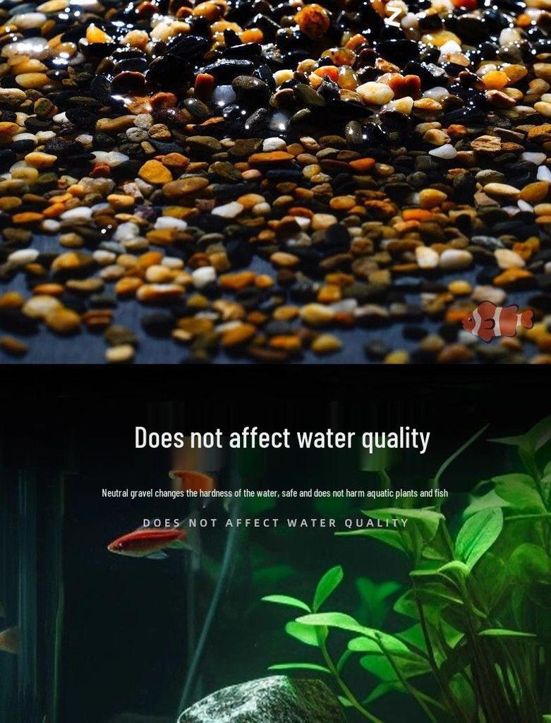 Spezieller Bachsteinsand für Aquarien und Schildkrötenbecken