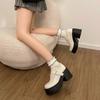 Coarse heel high heel small leather shoes jk single shoes 2025 spring and autumn new thick sole heightening French Mary Jane women's shoes