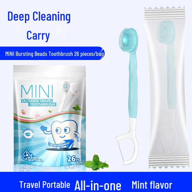 Ally Nano Mint Disposable Travel Toothbrush