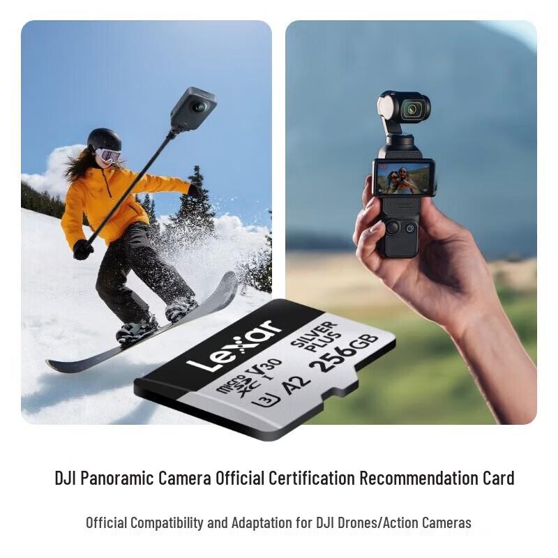Lexar 256GB MicroSD Card V30 A2