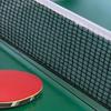 Schnell aufzubauendes Tischtennisnetz Platzsparendes Tischtennisnetz Höhenverstellbar für Outdoor-Aktivitäten