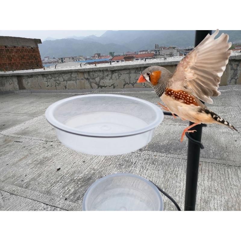 Hochwertiger Plastik-Vogelfutterspender mit stabilem Metallständer und vielseitiger Kolibri-Wasserschale für den Außenbereich