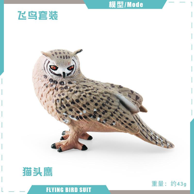 Detailed Static Pvc Bird Models Including Majestic Eagle Unique Vulture And Owl Designs