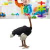 Ostrichs Figurine Realistic Plastic Wild Animals Ostrichs Model Educational Learning Toy Ostrichs Models Birthday Gifts