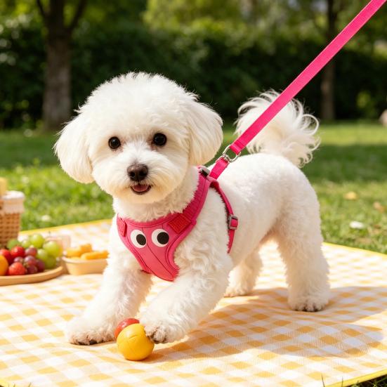 Yousheng Padded Step-in Dog Harness Breathable Adjustable Pet Harness Cute Big Eyes Harness with Leash for Small Dogs