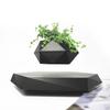Magnetic Levitation Potted Plants, Aerial Flower Ornaments, Diamond - Shaped Magnetic Levitation Green Plant Bonsai