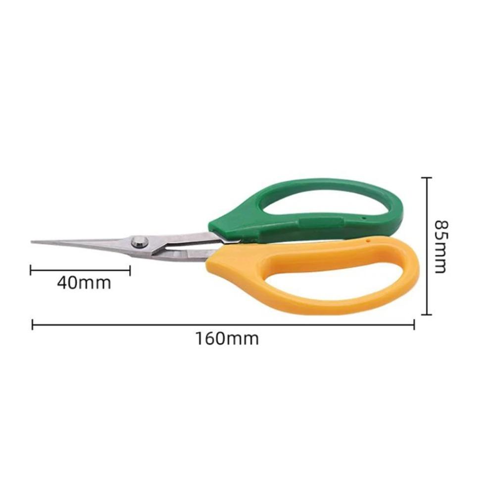 Gardening Tool Scissors Two-color Branch Bonsai Scissors Elbow Rare Fruit Picking Grape Scissors Picking Tool Garden