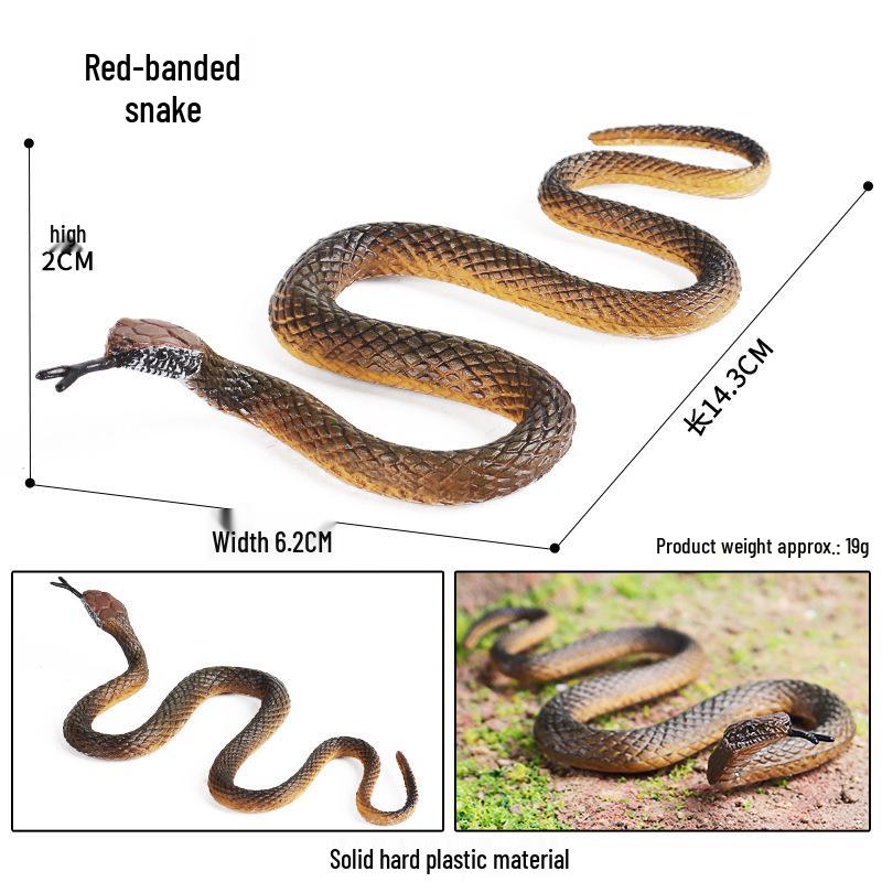 Wild Animal Cognitive Model Toys: Snail, Spider, Scorpion, Centipede, Horned Lizard, Chameleon, Dragon