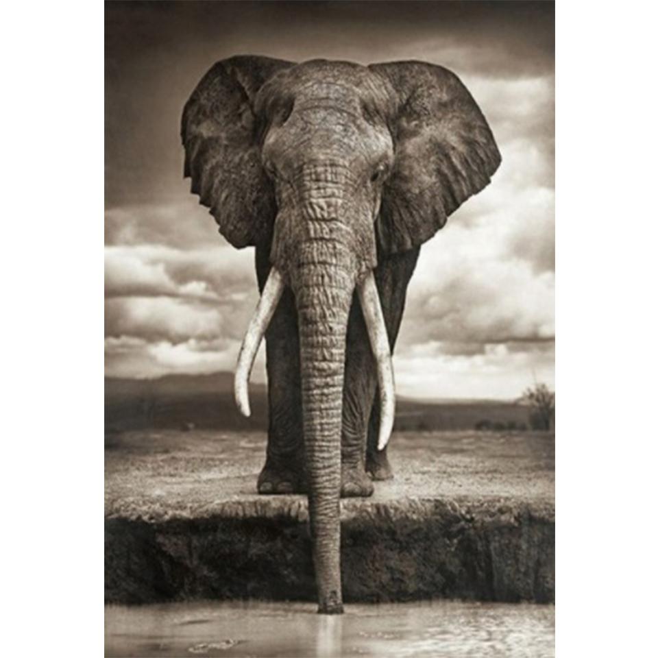 Pictură cu diamant 5D DIY, animal, elefant, imagine cu strass, broderie cu diamante, mozaic, artizanat, cadou, decorare pentru mobilier