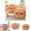 Cute And Creative 3d Cat Head Cushion Soft Plush Alien Cat Pillow Gift