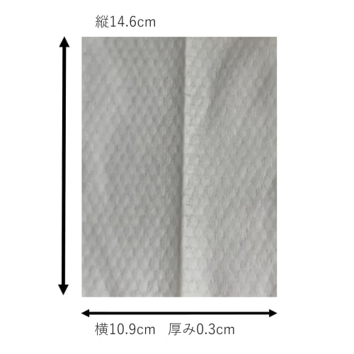 I'm Soujikko Floor Wet Wipes, "Egae Floor Keep-Kun," 20 Sheets X 36 Packs, Thick, Platinum Nano Antibacterial, 72-Hour Antibacterial, Alkaline Electro