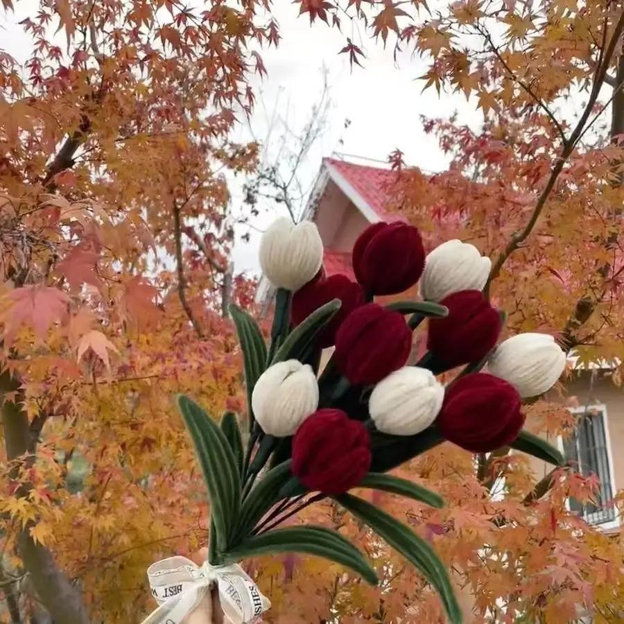 Chenille Stem Tulip Bouquet Kit, DIY Pipe Cleaner Flowers Craft, Creative Gift for Mom Wife Girlfriend