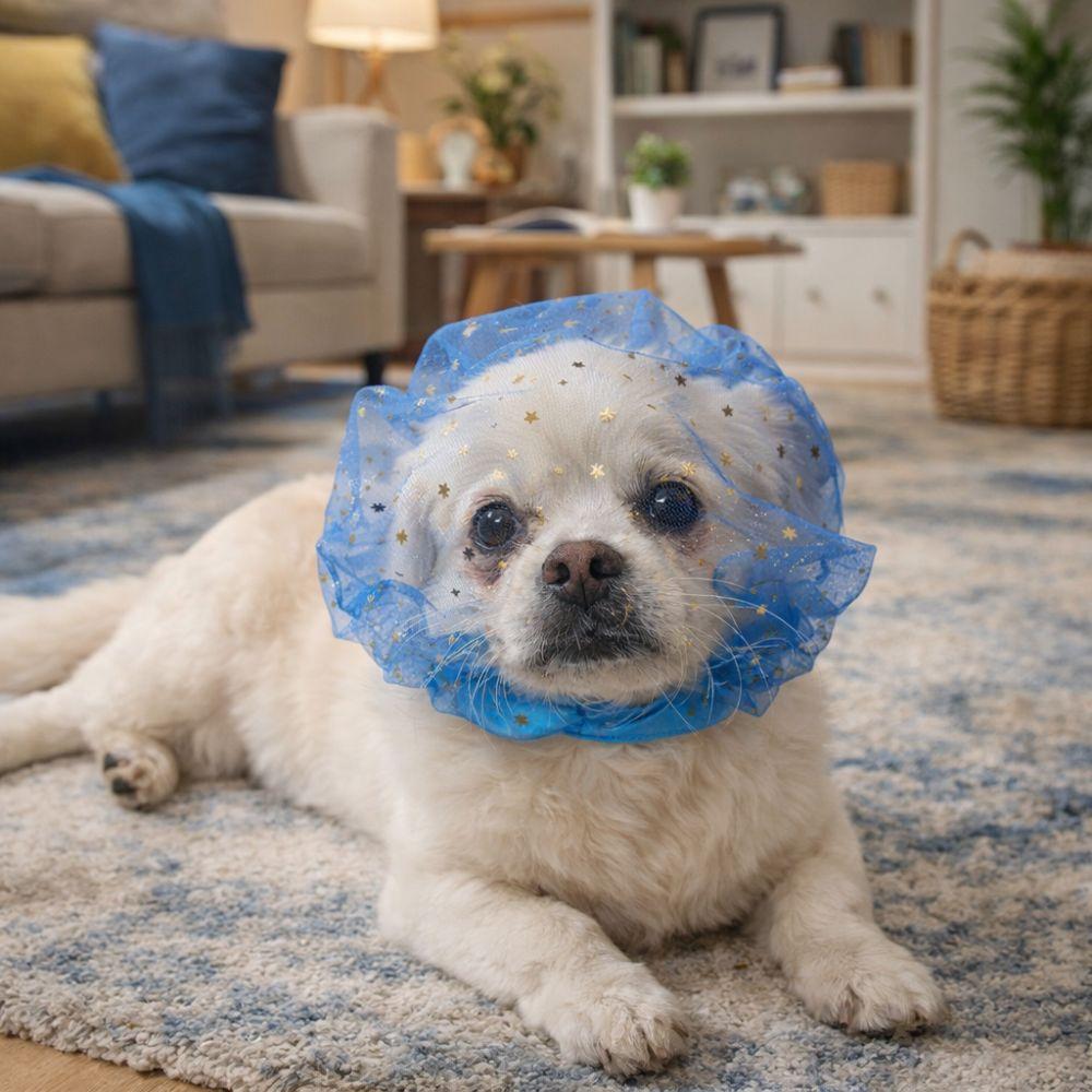 Adjustable Anti-Mosquito Headgear Breathable Anti-Bite Head Cover for Small Dogs Cat