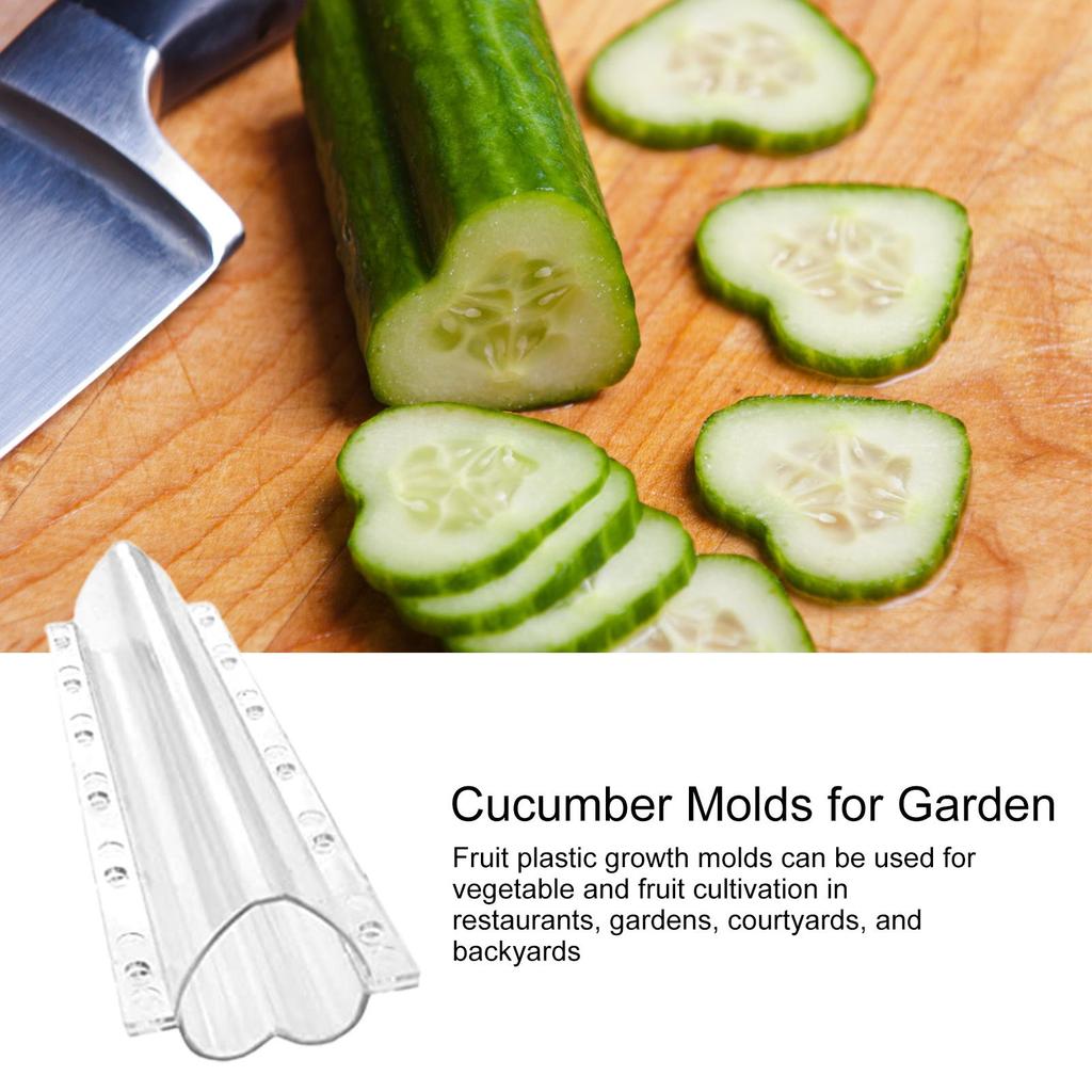 Fruit plastic growing molds Vegetable planting molds Star-Shaped Growth tool Unique Shaped for gsrdening palnt shaping
