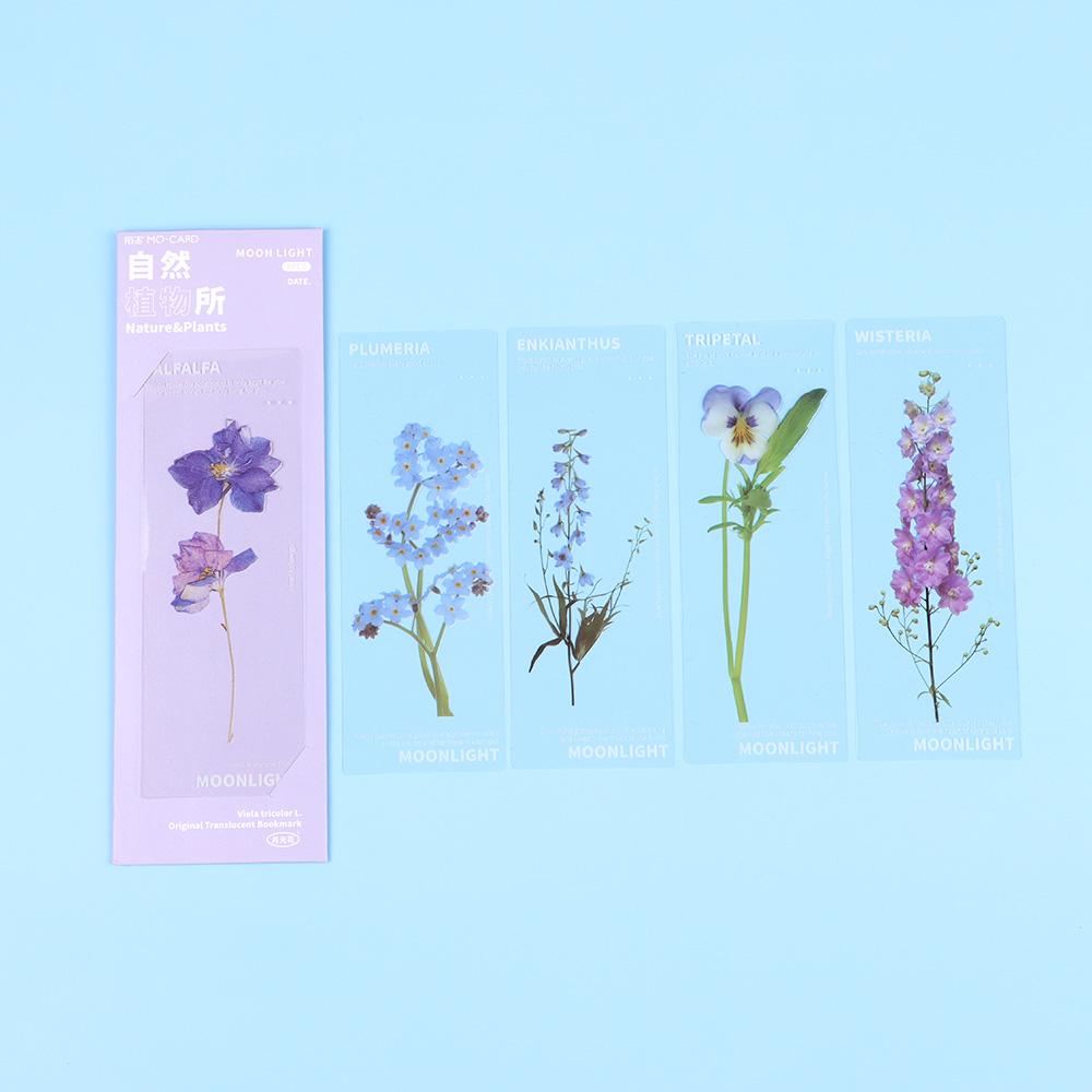 Holder Reading Mark Bookmarks Card Nature Plants Bookmarks Specimen Bookmarks Translucent Flower