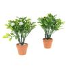 Miniature White Flower Green Plant Potted Ornament Dollhouse Mini Bonsai Model Decoration Micro Scene Layout Pography Props