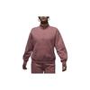 Sweatshirts Women's Stardust Red Stand Collar Moderate Regular FD7222-618