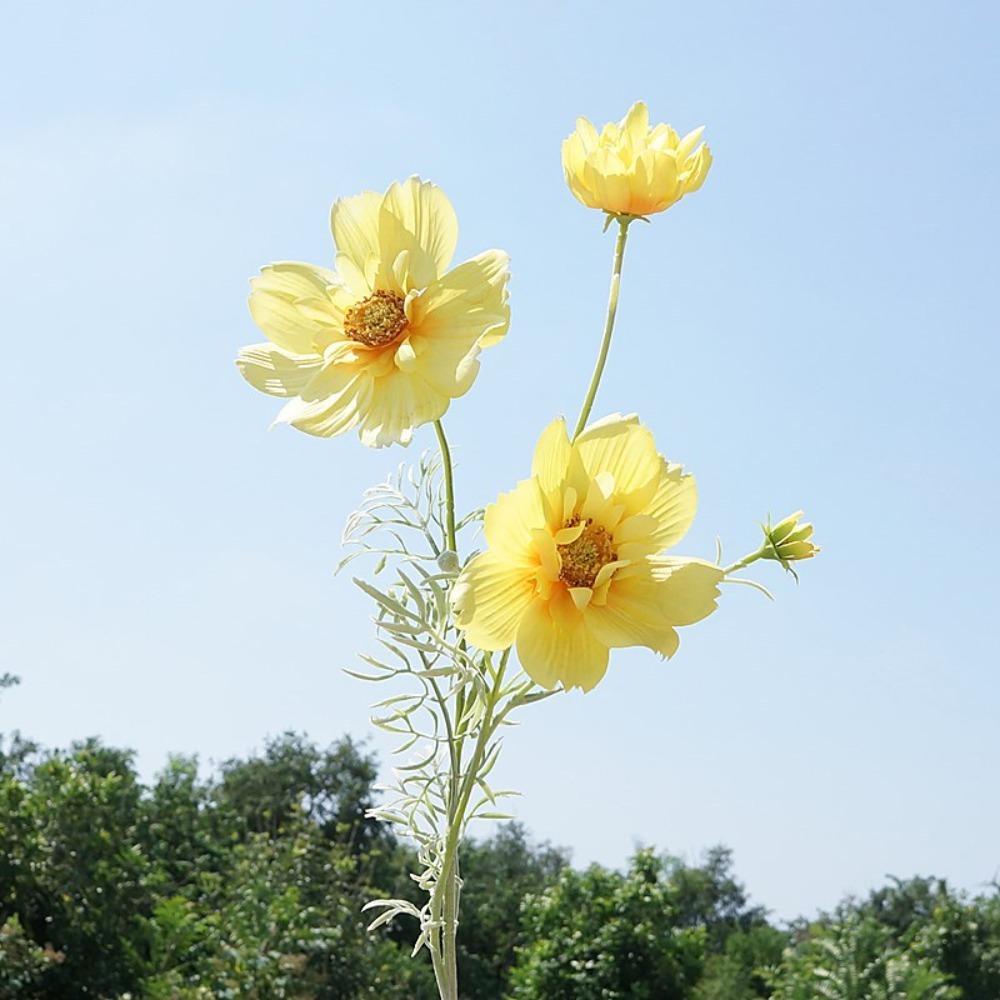 77CM Length Artificial Cosmos Flower Branch Elegant Design Fake Flowers  Photography Background