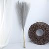 Wedding Decorations, Pampas Grass, 55cm