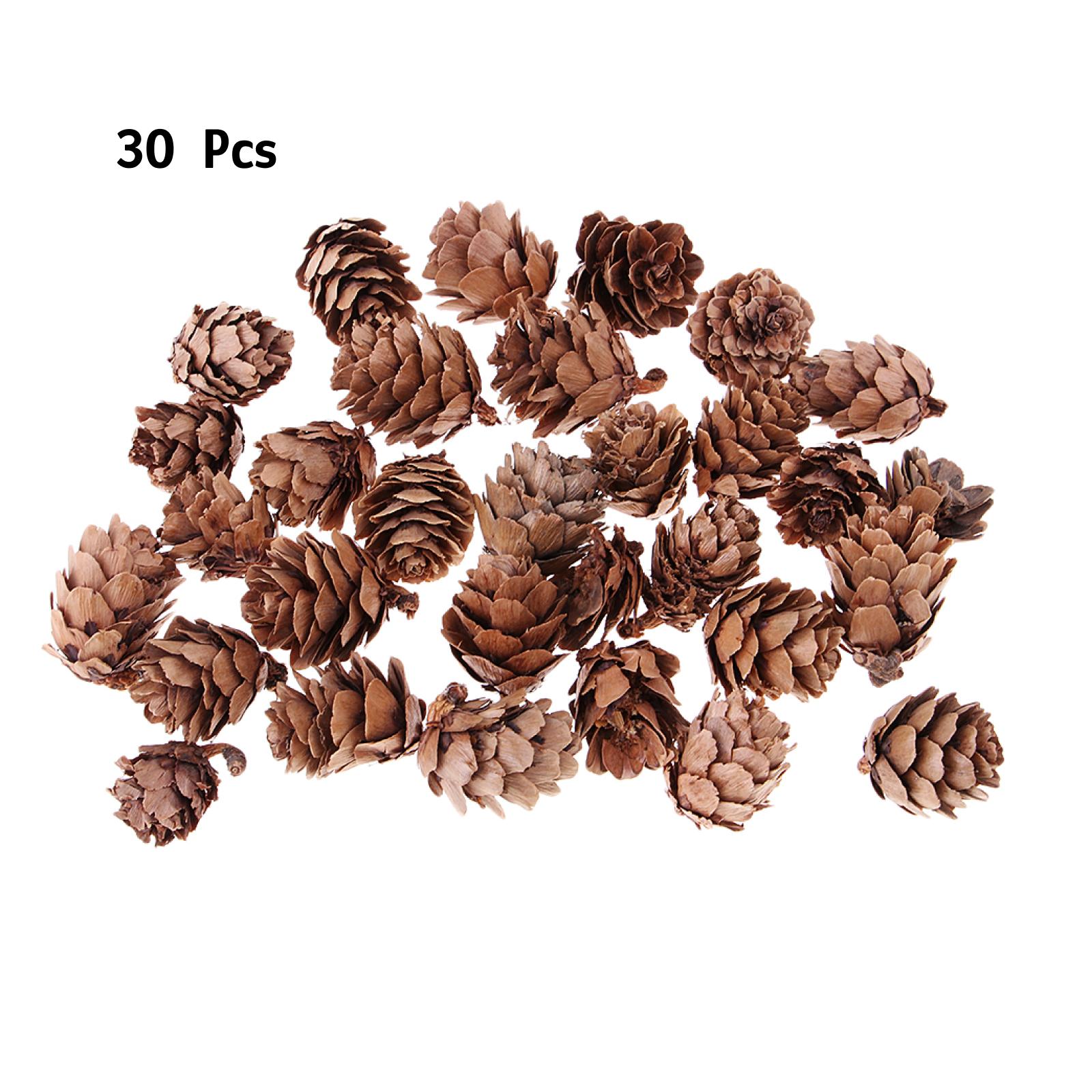 

Small Pine Cones Accent Decor Rustic Ornaments DIY Decorative Pinecone Pine Cones Baubles Hanging for Home Dero and Holiday Gift