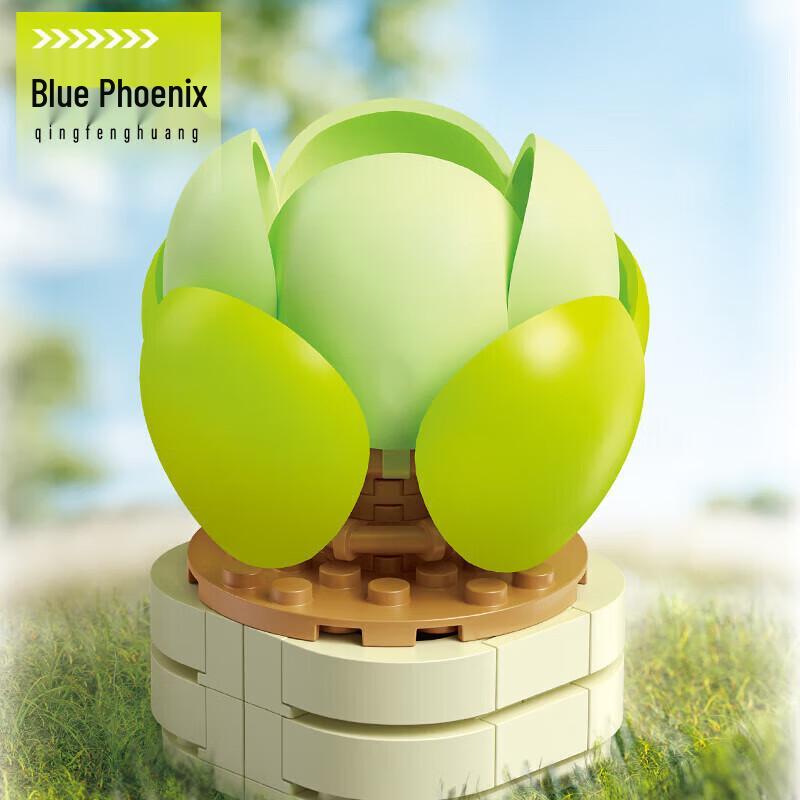 Femibox Creative Building Block Kits