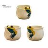Versatile Gardening Gift for Women 3D Frog Planter, Cute Animal Plant Pot with Leaf Vein Weather Resistant Planter Outdoor Garden Textures, Decorative